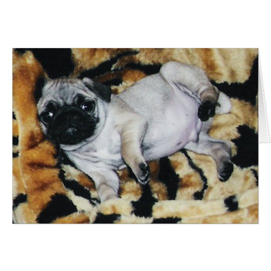 Pug Muffin Valentine's Day Greeting Card