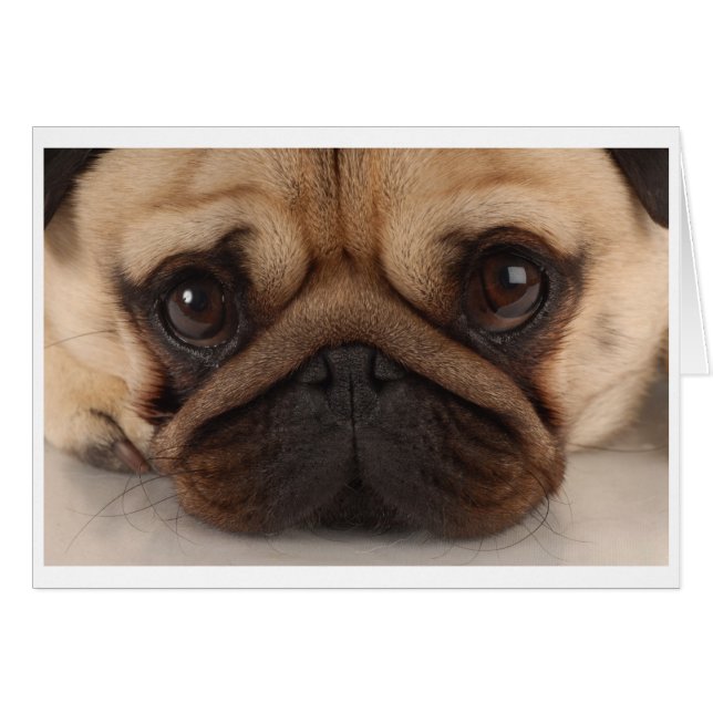 Pug Mug Card (Front Horizontal)