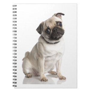 Pug Notebook