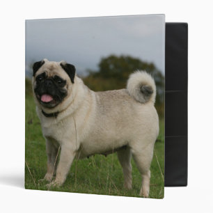 Pug Panting Binder