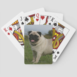 Pug Panting Playing Cards