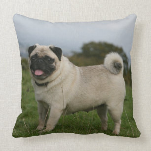Pug Panting Throw Pillow