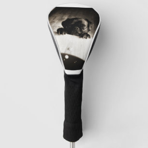 pug peeking in bw golf head cover