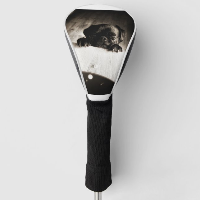 pug peeking in bw golf head cover (Front)