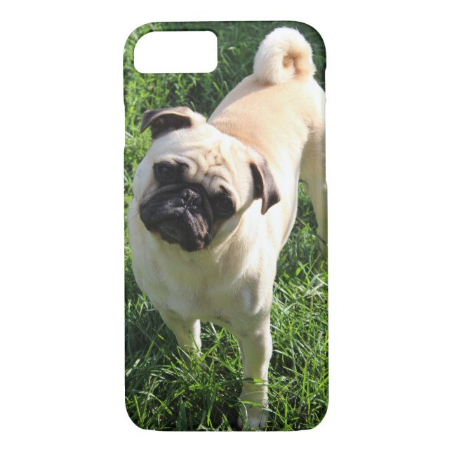 Pug phone case (Back)