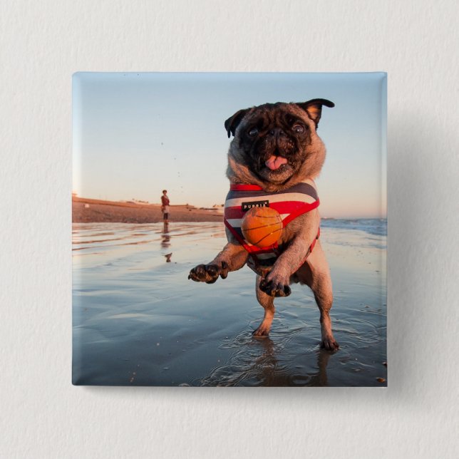 Pug Playing Ball on Beach 2 Inch Square Button (Front)