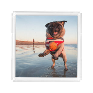 Pug Playing Ball on Beach Acrylic Tray