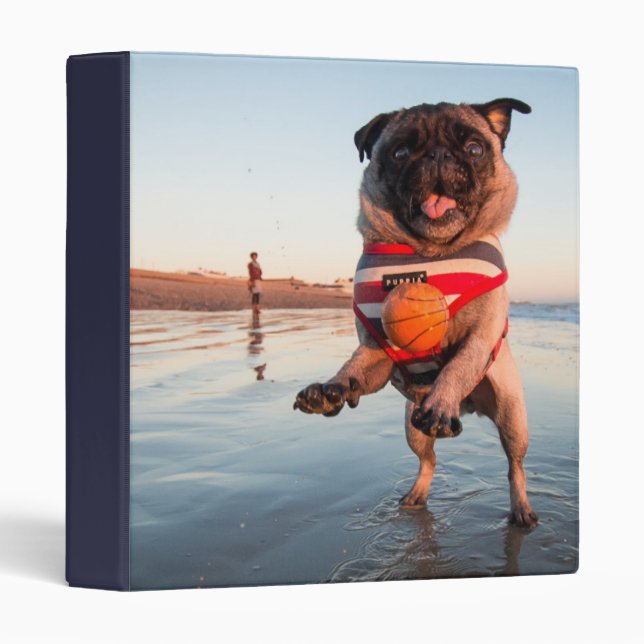 Pug Playing Ball on Beach Binder (Front/Spine)