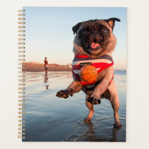 Pug Playing Ball on Beach Planner