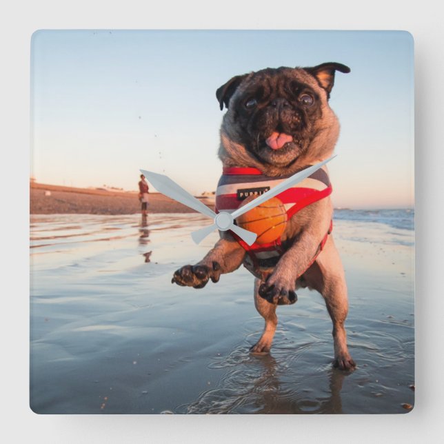 Pug Playing Ball on Beach Square Wall Clock (Front)