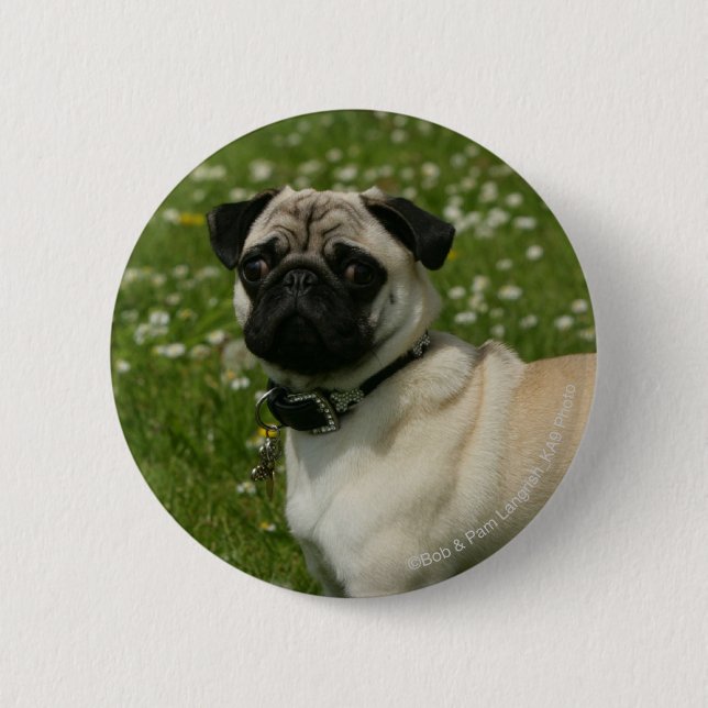 Pug Playing in Flowers 2 Inch Round Button (Front)