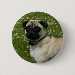 Pug Playing in Flowers 2 Inch Round Button