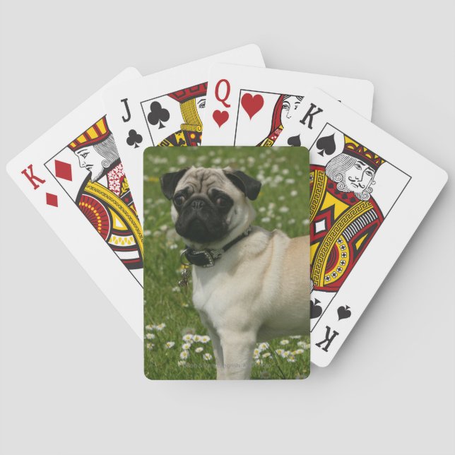 Pug Playing in Flowers Playing Cards (Back)