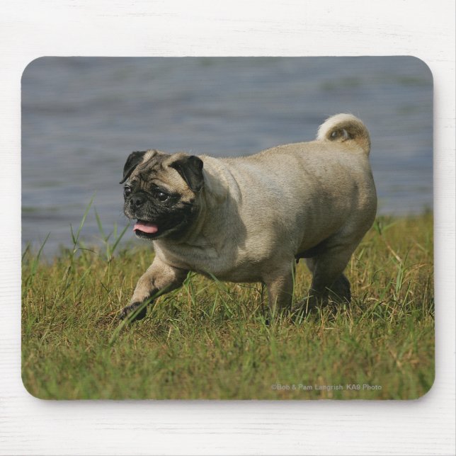 Pug Playing Near Water Mouse Pad (Front)