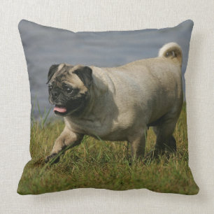 Pug Playing Near Water Throw Pillow