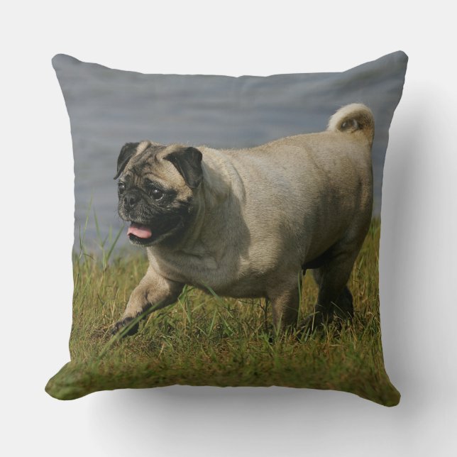 Pug Playing Near Water Throw Pillow (Front)