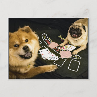 Pug Poker Postcard