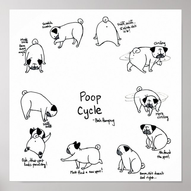 Pug Poop Cycle Poster (Front)
