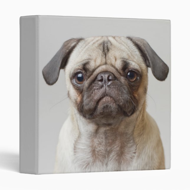 Pug Portrait Binder (Front/Spine)