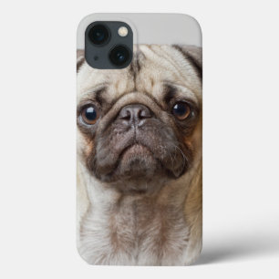 Pug Portrait iPhone 13 Case