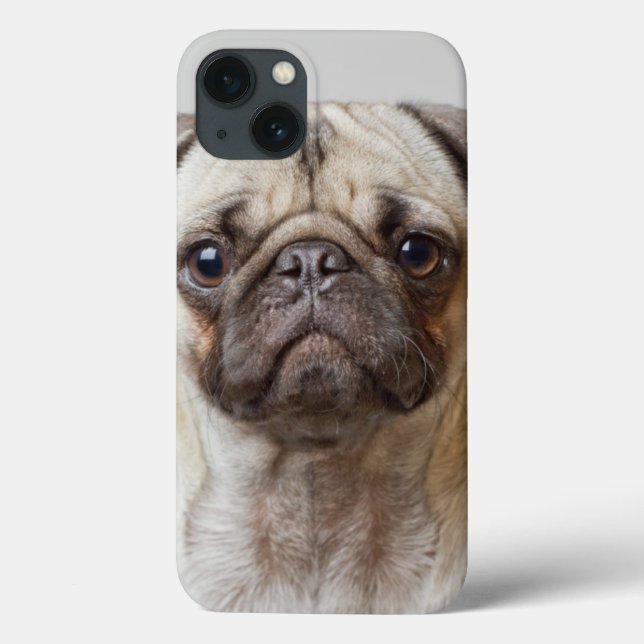 Pug Portrait Case-Mate iPhone Case (Back)
