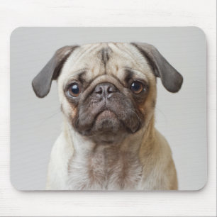 Pug Portrait Mouse Pad
