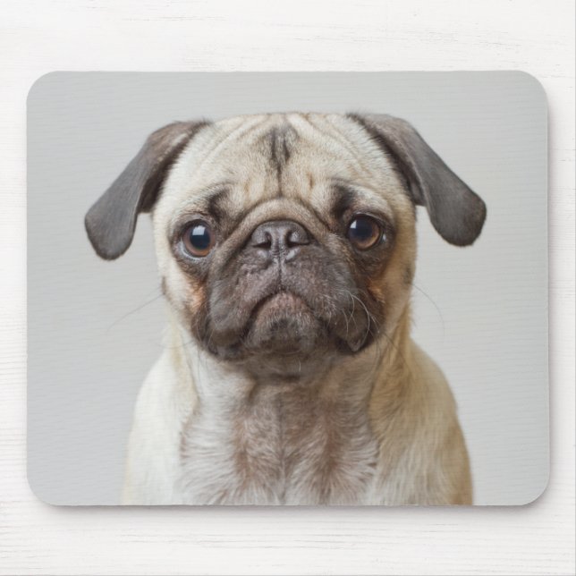 Pug Portrait Mouse Pad (Front)