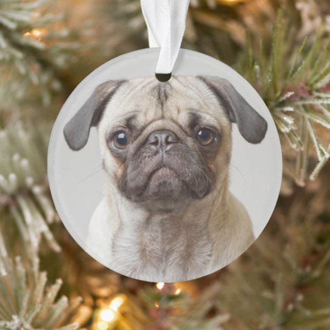 Pug Portrait Ornament (Tree)