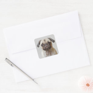 Pug Portrait Square Sticker