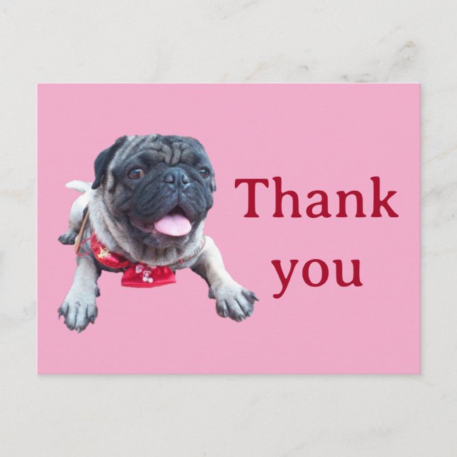 pug postcard (Front)
