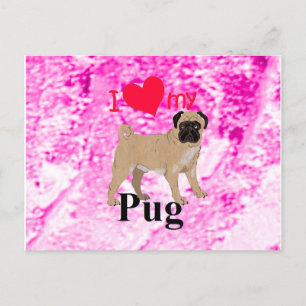 Pug Postcard
