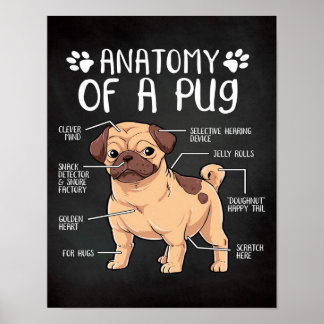  pug poster