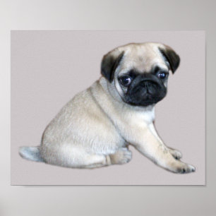 Pug Print