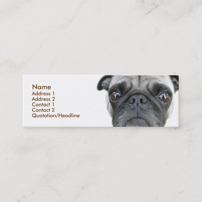 Pug Profile Card (Front)