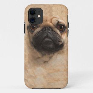 pug pugs face iphone 5 cover case