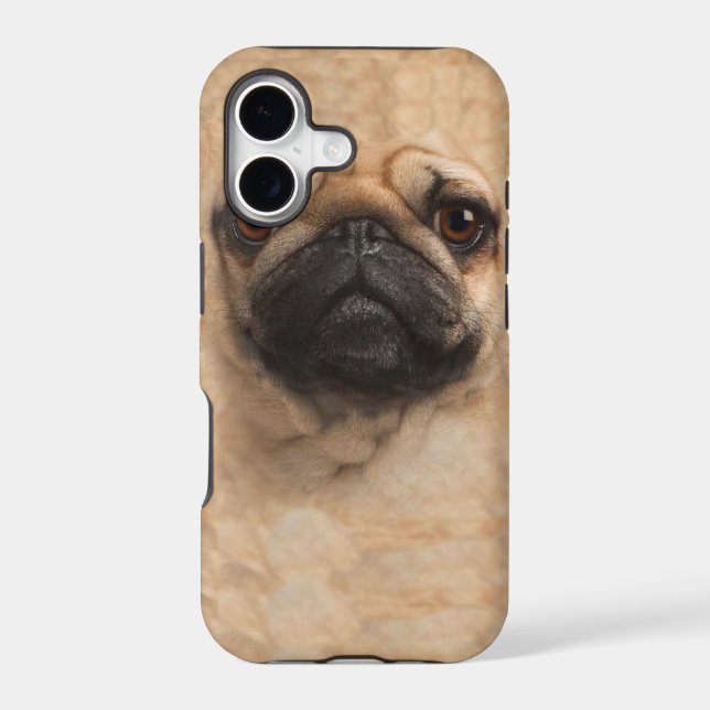 pug pugs face iphone 5 cover case (Back)