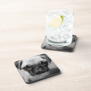 Pug Pup Coaster
