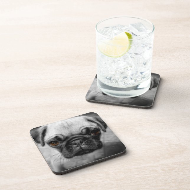 Pug Pup Coaster (Right Side)