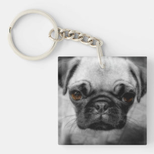 Pug Pup Keychain