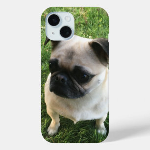 Pug Pup Photo iPhone 15 Case