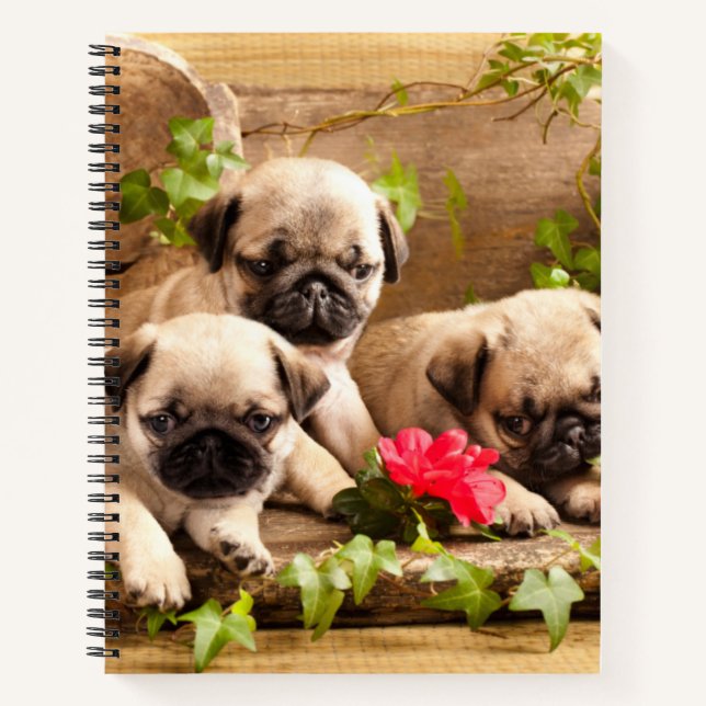 Pug puppies among flowers Spiral Notebook (Front)