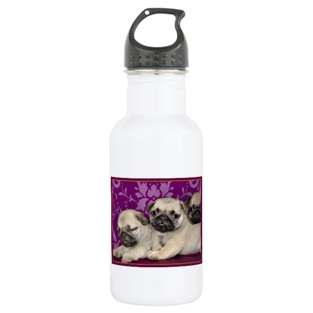 Pug puppies dog 532 ml water bottle (Front)