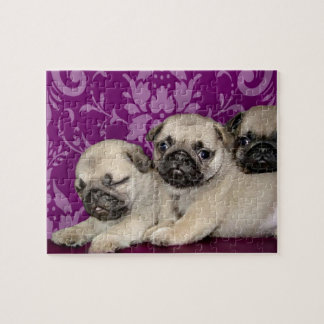 Pug puppies dog jigsaw puzzle