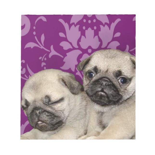 Pug puppies dog notepad (Front)