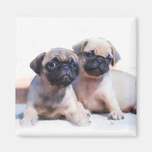 Pug puppies magnet