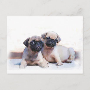 Pug puppies postcard