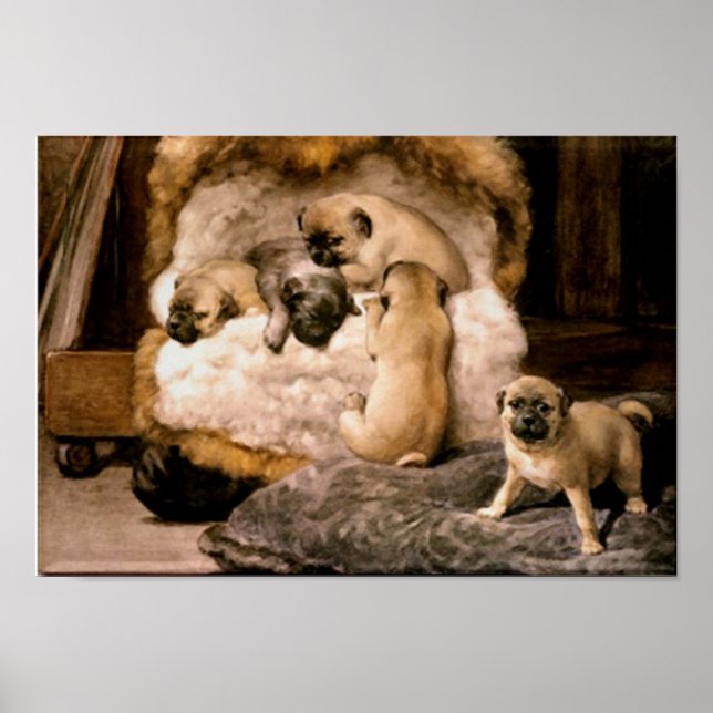 Pug Puppies Poster (Front)