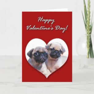 Pug puppies Valentines Day Card