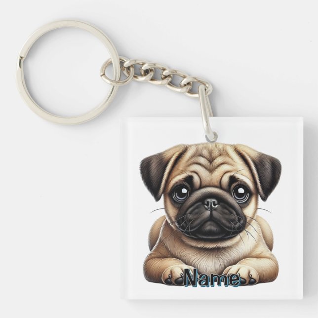Pug puppy (Devant)