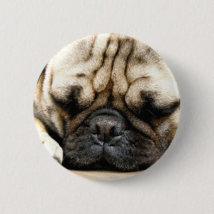 Pug puppy 2 inch round button
